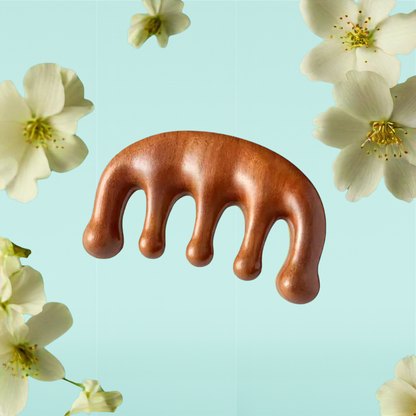 Clofina™ Wooden Scalp Massage Comb